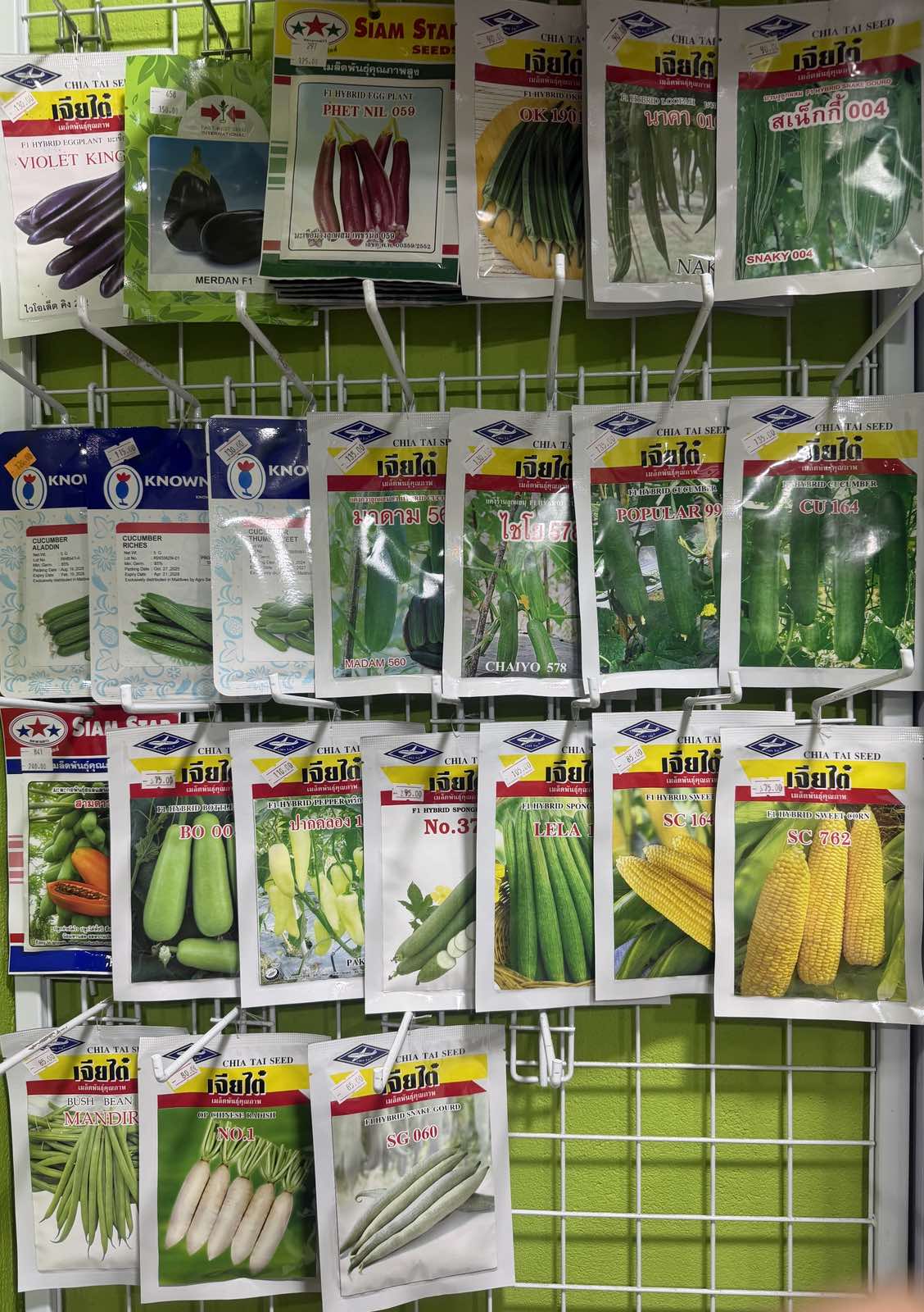 Cucumber, Eggplant, Gourd and Sweet Corn Seeds Collection