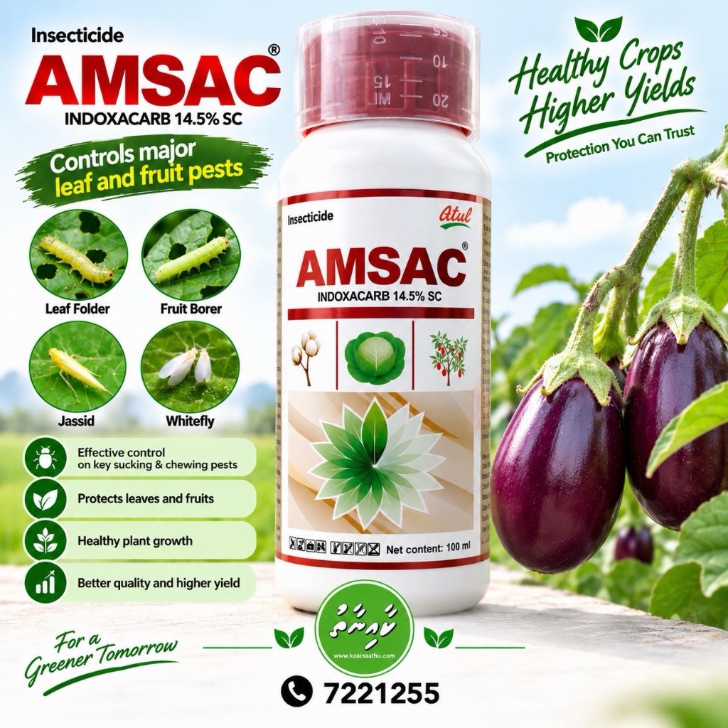 AMSAC Insecticide (Indoxacarb 14.5% SC)