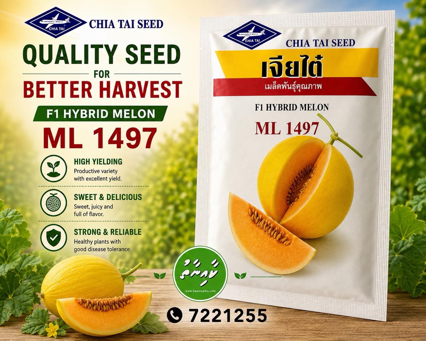 Chia Tai F1 Hybrid Melon ML 1497 Seeds